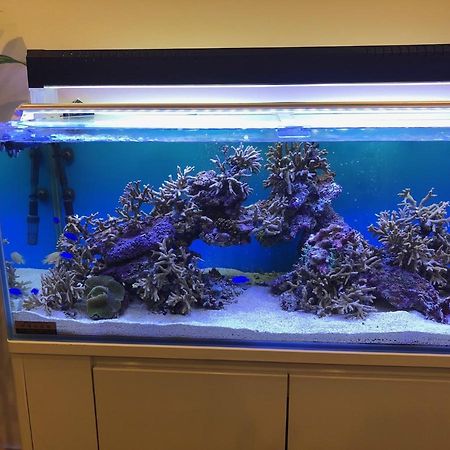 Mr.Kinjo Inn Rinzu Seragaki Onna Dış mekan fotoğraf