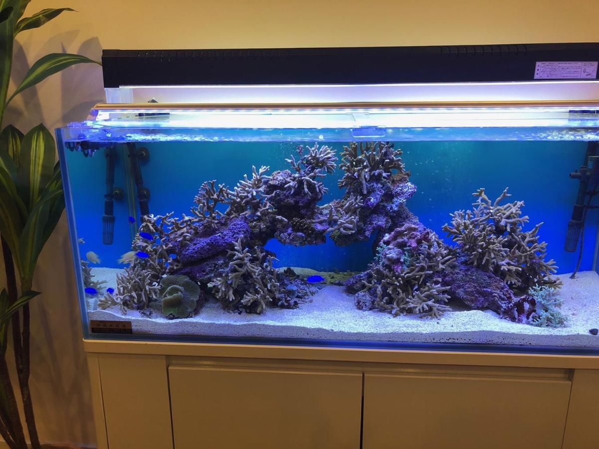 Mr.Kinjo Inn Rinzu Seragaki Onna Dış mekan fotoğraf