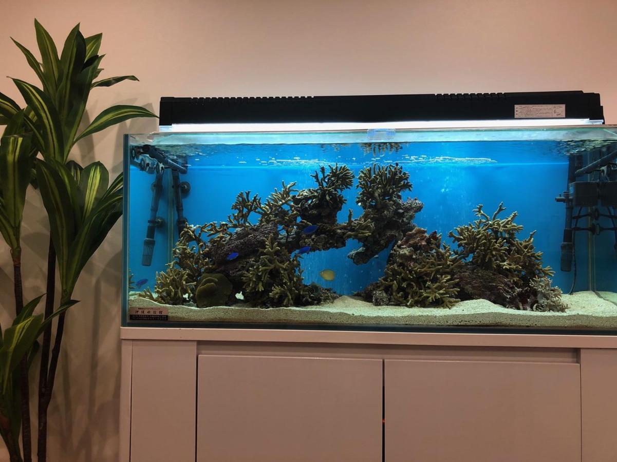 Mr.Kinjo Inn Rinzu Seragaki Onna Dış mekan fotoğraf